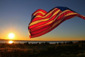 Sea Gulls Nest flag