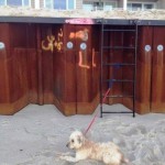 In Sandy’s aftermath, the battle of the beaches is coming to a head: Mulshine