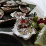 Barnegat Bay oyster restoration project targeted to go large scale