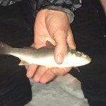 As blizzard leaves, coastal flooding and icy roads chief concerns